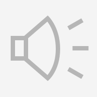 Steve Navon 1 Interview.WAV