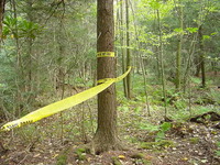 MVC-666039S.JPG