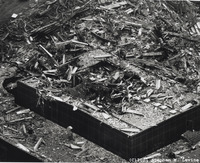 WTC006.jpg