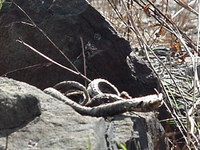 MVC-637F.JPG