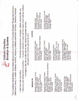 Disaster Response [2 of 2]