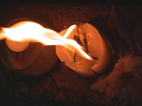 dcp61.jpg