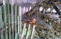emt_photos_20038.jpg